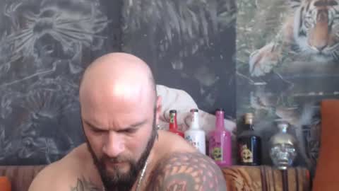 viking online show from November 2025 07:08:02 AM