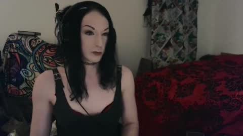 vikskikat online show from February 2025 11:37:02 PM