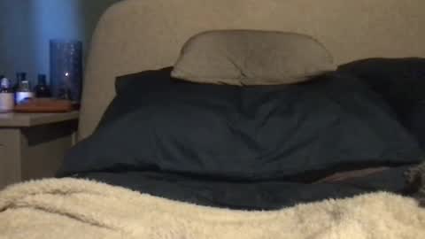 Snapshot of vinny440 chatting on March 2025 11:00:02 AM Vinny online show from March 2025 11:00:02 AM