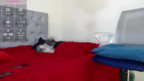 vinzent_lafed_ online show from October 2025 07:39:02 AM