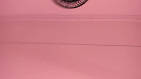 Snapshot of violeta_abel chatting on September 2025 11:26:02 AM Violeta online show from September 2025 11:26:02 AM