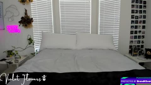 Violet Flowers online show from September 2025 05:12:02 PM