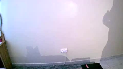 Snapshot of virtual_wifey chatting on January 2025 01:22:02 PM Your Virtual Wife online show from January 2025 01:22:02 PM