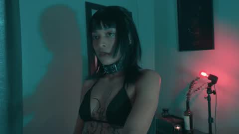 vortexspecter online show from October 2025 08:42:01 PM