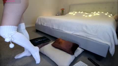 Sunshiny online show from February 2025 07:49:01 PM