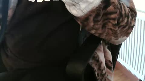 Daniel online show from February 2025 02:10:01 PM