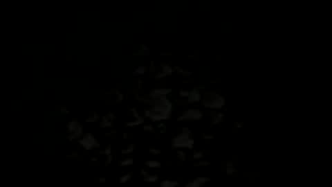 w2456 online show from November 2025 11:38:01 PM