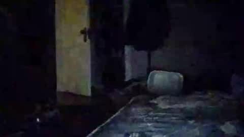 Walter online show from November 2025 10:58:01 AM