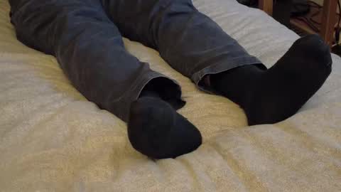 I love the ol in-n-out  online show from January 2026 03:44:01 AM