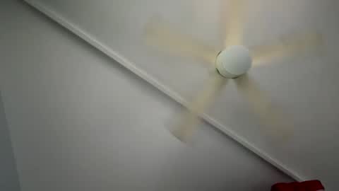 wan2cum4you online show from February 2025 01:02:02 AM