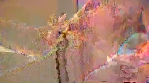 want2cum4gal online show from December 2024 10:47:01 PM