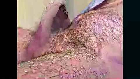 want2cum4gal online show from October 2025 12:28:01 PM