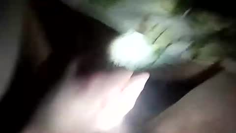 Snapshot of wariatos3 chatting on January 2025 12:17:01 AM wariatos3 online show from January 2025 12:17:01 AM