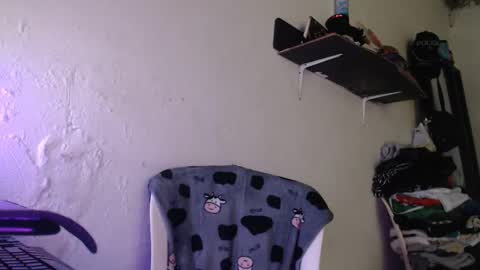  washbag14 online show from February 2026 03:41:02 PM