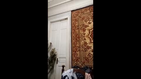 Snapshot of webgirl2 chatting on February 2025 04:14:01 PM Marina online show from February 2025 04:14:01 PM