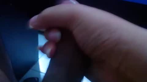 wellingtont online show from October 2025 06:49:02 PM