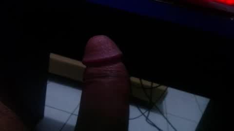 wellingtont online show from December 2025 04:42:02 AM