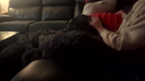 wellocal online show from December 2025 08:05:01 PM