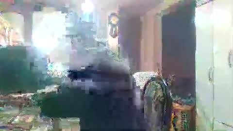 wg_colbert_noir online show from September 2025 08:55:02 PM