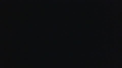 whitehead_lion online show from September 2025 07:21:02 AM