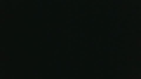 whitehead_lion online show from November 2025 06:17:01 PM