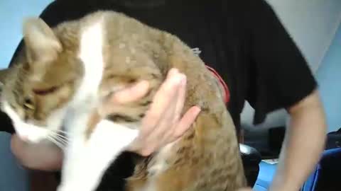 Snapshot of wickes71 chatting on December 2024 10:21:01 AM Tommy online show from December 2024 10:21:01 AM