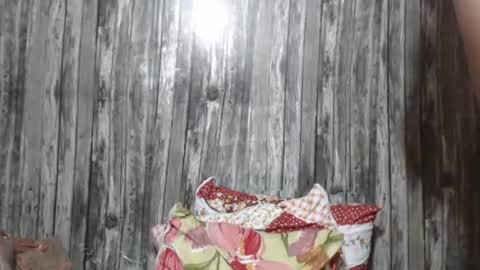 wild_ass_zessa online show from November 2025 12:07:01 PM