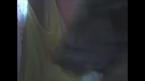 wild_sunflower11 online show from December 2024 03:16:02 AM