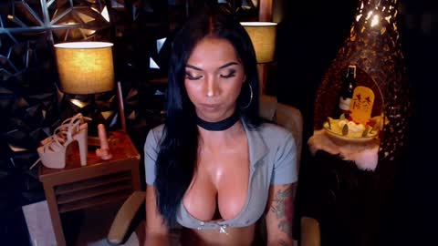 wildara online show from February 2025 03:31:02 PM