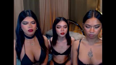 wildara online show from October 2025 10:59:01 AM