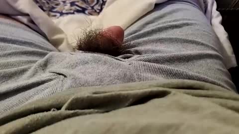 Snapshot of wildathaert chatting on December 2024 02:49:02 AM Wild-at-heart online show from December 2024 02:49:02 AM