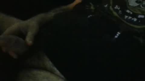 WildeAlex online show from September 2025 11:21:01 PM