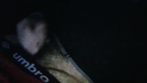 WildeAlex online show from October 2025 11:46:02 AM