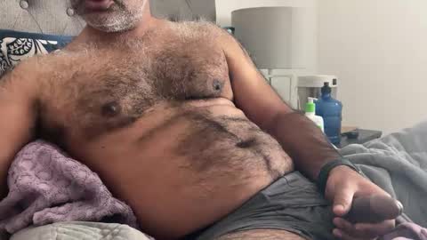 Snapshot of wildhungry chatting on January 2025 07:29:01 PM wildhungry online show from January 2025 07:29:01 PM