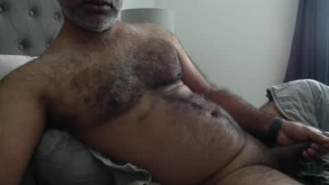 Snapshot of wildhungry chatting on October 2025 09:56:01 PM wildhungry online show from October 2025 09:56:01 PM