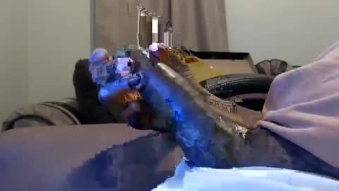 willy d bbc uncut bigdick edging online show from February 2025 09:20:02 AM