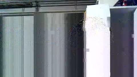 willielowrider online show from March 2026 08:41:02 AM