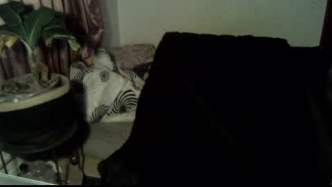 Call me Babe online show from December 2024 03:11:02 PM