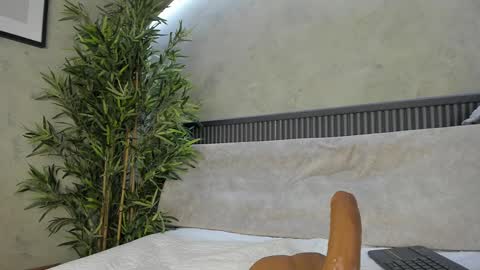 Ms Willow online show from February 2025 04:04:02 PM