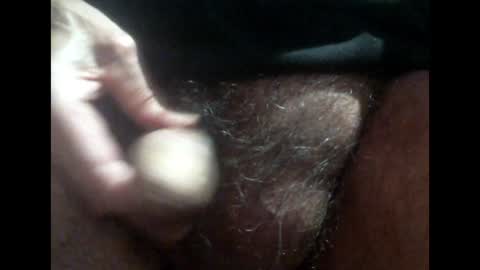 willstrok online show from December 2024 04:25:01 AM