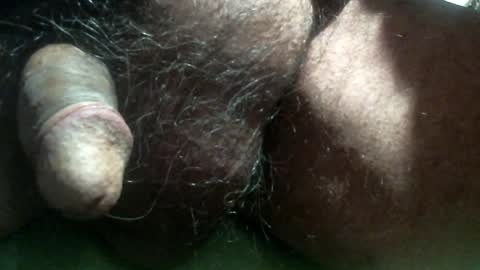 willstrok online show from December 2024 03:47:01 AM