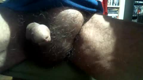 willstrok online show from December 2024 03:04:01 PM