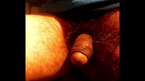 willstrok online show from January 2025 04:55:01 AM