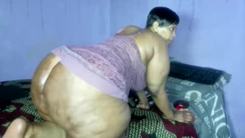 wilmaassylum online show from November 2025 08:29:02 AM