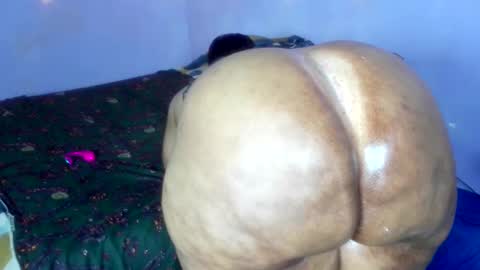 wilmaassylum online show from December 2025 08:52:01 AM