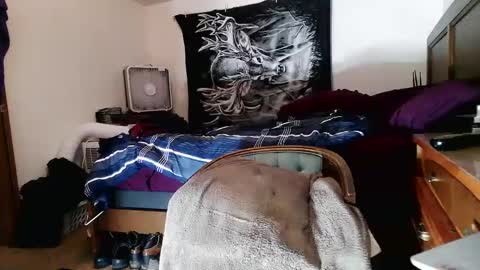 wolfman79 online show from February 2025 12:03:02 PM