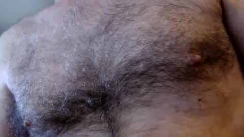 Snapshot of woodiesays chatting on February 2025 05:34:01 PM WoodieSays online show from February 2025 05:34:01 PM