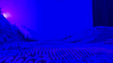 wowsers7 online show from November 2025 08:03:01 AM