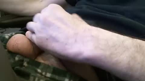 wrangleat0r online show from January 2025 01:33:01 AM