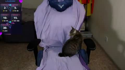 Neo and Abby online show from July 2026 04:18:01 AM